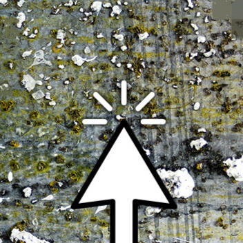 Clarity that begs for attention.